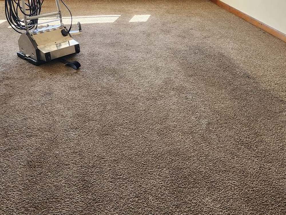 An empty room of dull, matted brown carpet with a carpet-cleaning machine parked on it and sunlight falling across the floor.