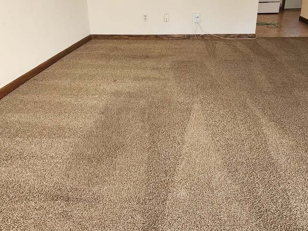 The same empty room after cleaning, the brown carpet lighter and lifted with even extraction stripes running across it.