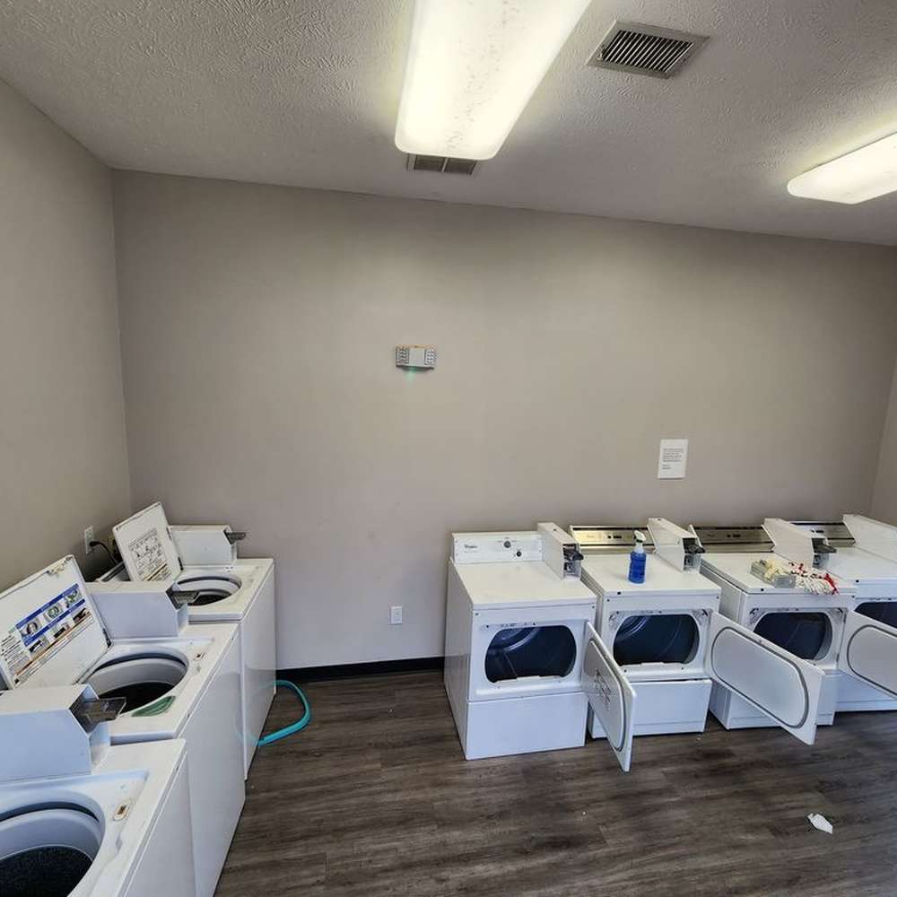 A shared apartment laundry room with rows of white washers and dryers along two walls, doors open, on dark wood-look flooring under fluorescent lights.