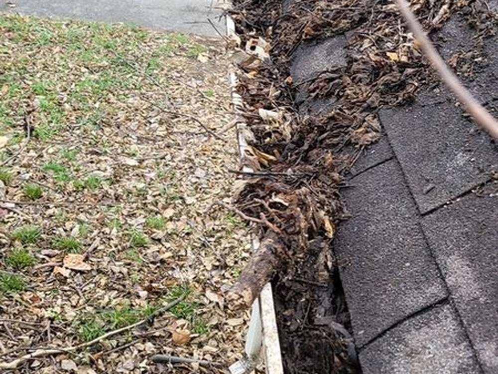 A house gutter completely packed with wet brown leaves and twigs, running along the edge of a grey shingle roof.